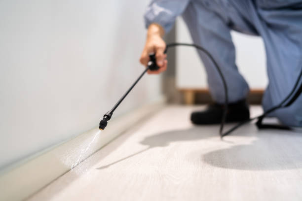 Licensed Mosquito Control service in Angels, CA - Show Me Pest Control