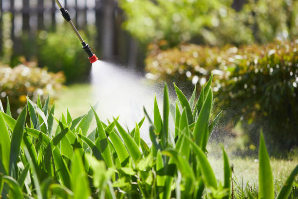 24/7 Emergency Mosquito Control experts in Angels, CA