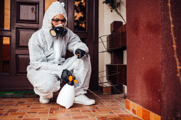 Reliable Mosquito Control contractor in Angels, CA by Show Me Pest Control